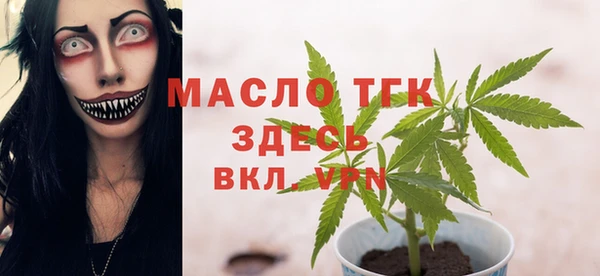 гидра Пестово
