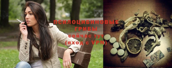 гидра Пестово