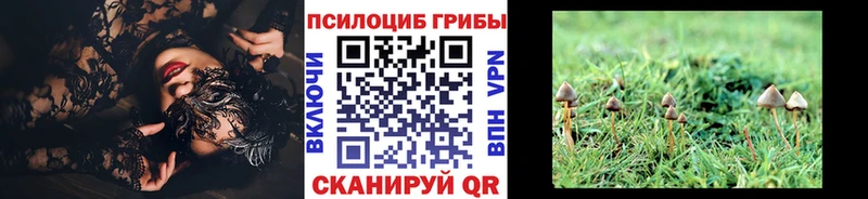 omg ссылка  Россошь  Псилоцибиновые грибы прущие грибы 
