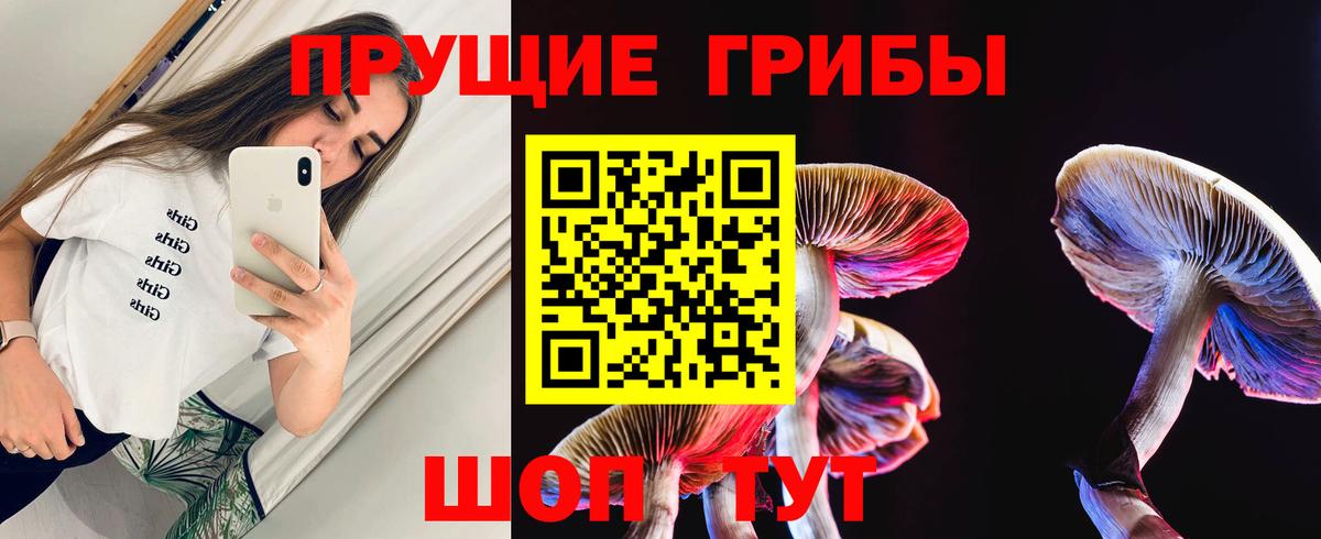 Псилоцибиновые грибы Psilocybe Россошь